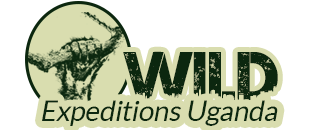 logo_wildexp